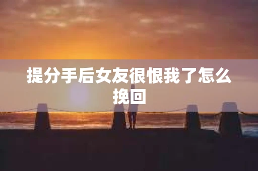 提分手后女友很恨我了怎么挽回
