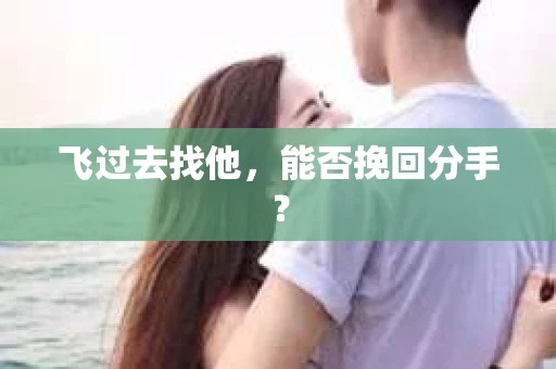 飞过去找他，能否挽回分手？