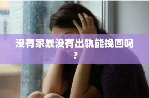 没有家暴没有出轨能挽回吗？