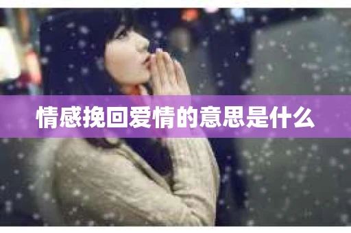 情感挽回爱情的意思是什么