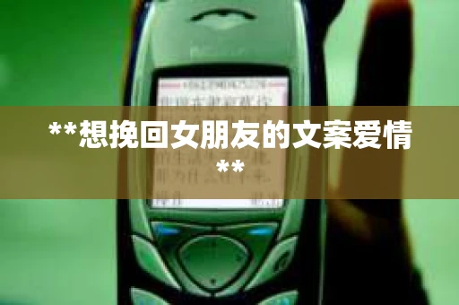 **想挽回女朋友的文案爱情**
