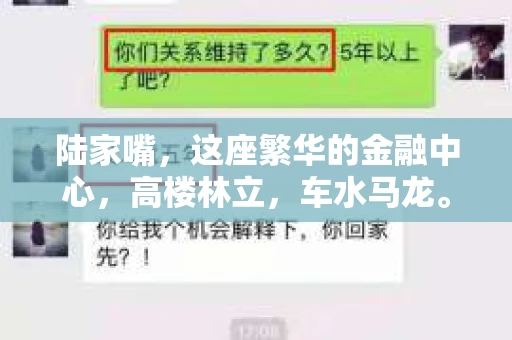 陆家嘴，这座繁华的金融中心，高楼林立，车水马龙。在这片热土上，有一位神秘的私家侦探，他穿梭在繁华的都市，用敏锐的洞察力和丰富的经验，为委托人解决各种棘手的问题。今天，就让我带你走进这位“陆家嘴私家侦探”的世界，一探究竟。