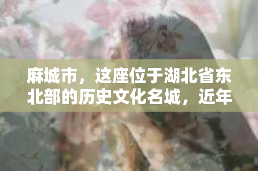 麻城市，这座位于湖北省东北部的历史文化名城，近年来随着社会经济的发展，人们的生活节奏加快，对于隐私保护和信息查询的需求也在逐渐增加。那么，问题来了——麻城市有私家侦探吗？今天，我们就来聊聊这个话题。