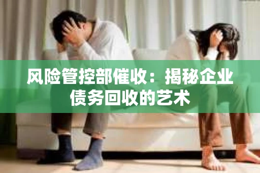 风险管控部催收：揭秘企业债务回收的艺术
