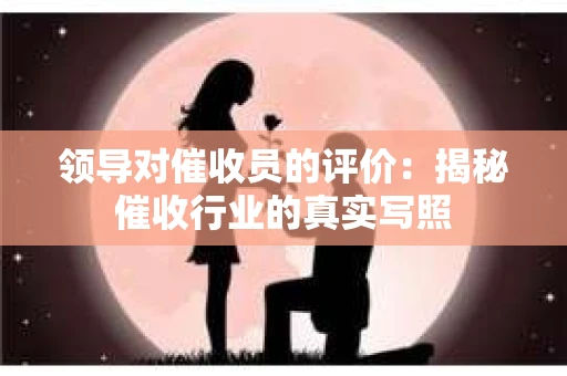 领导对催收员的评价：揭秘催收行业的真实写照