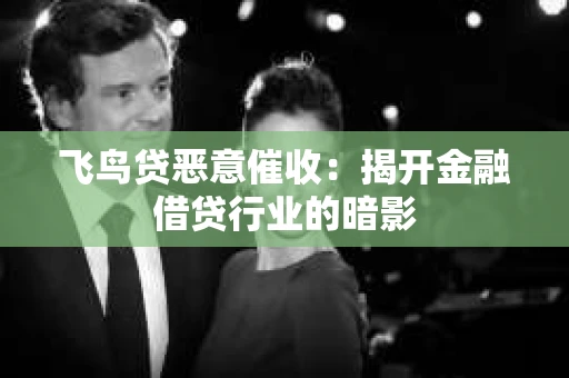飞鸟贷恶意催收：揭开金融借贷行业的暗影