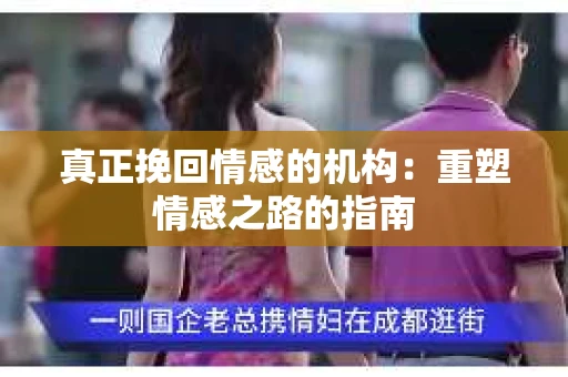 真正挽回情感的机构：重塑情感之路的指南