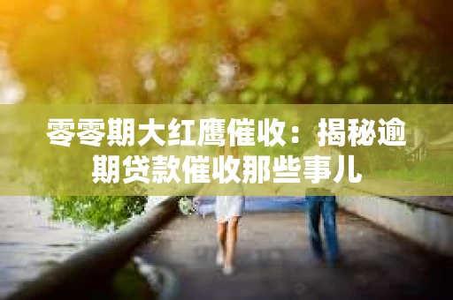 零零期大红鹰催收：揭秘逾期贷款催收那些事儿