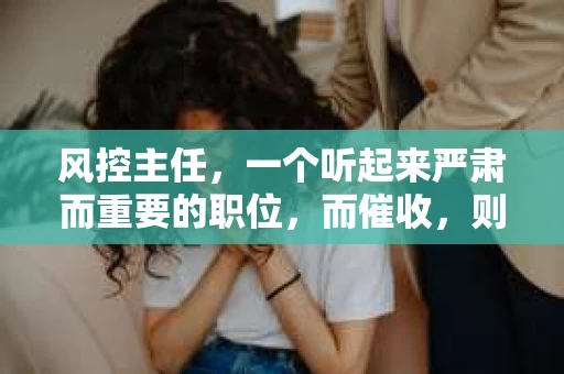 风控主任，一个听起来严肃而重要的职位，而催收，则常常与压力和挑战联系在一起。这两个词放在一起，似乎形成了一种独特的职业形象。今天，我们就来聊聊风控主任在催收工作中的角色和挑战。