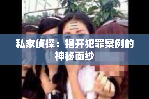 私家侦探：揭开犯罪案例的神秘面纱
