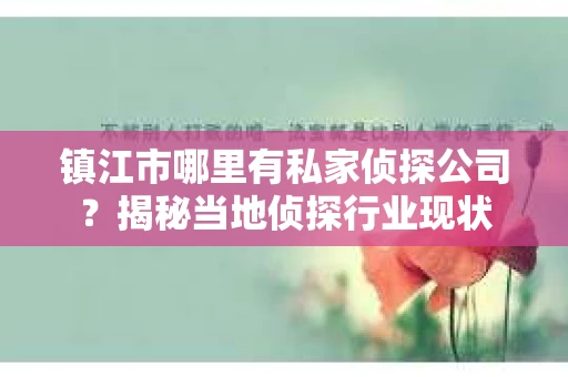 镇江市哪里有私家侦探公司？揭秘当地侦探行业现状