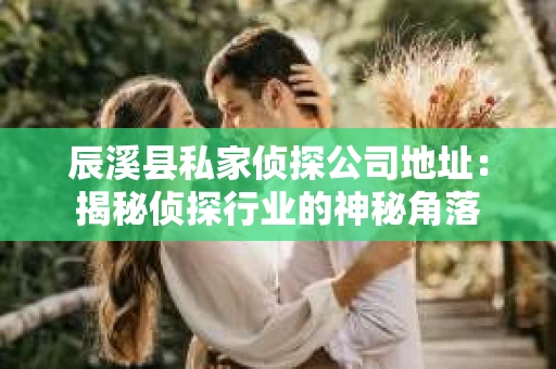 辰溪县私家侦探公司地址：揭秘侦探行业的神秘角落