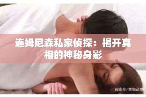 连姆尼森私家侦探：揭开真相的神秘身影