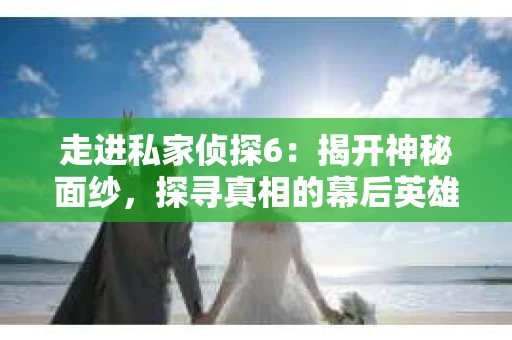 走进私家侦探6：揭开神秘面纱，探寻真相的幕后英雄