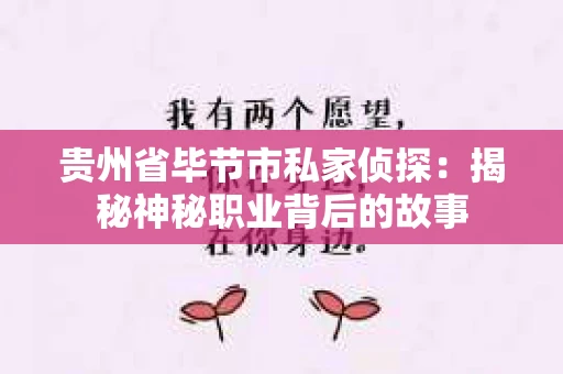 贵州省毕节市私家侦探：揭秘神秘职业背后的故事