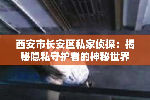 西安市长安区私家侦探：揭秘隐私守护者的神秘世界