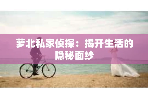 萝北私家侦探：揭开生活的隐秘面纱