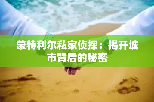 蒙特利尔私家侦探：揭开城市背后的秘密