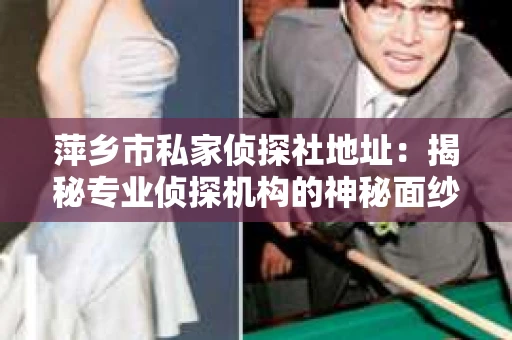 萍乡市私家侦探社地址：揭秘专业侦探机构的神秘面纱