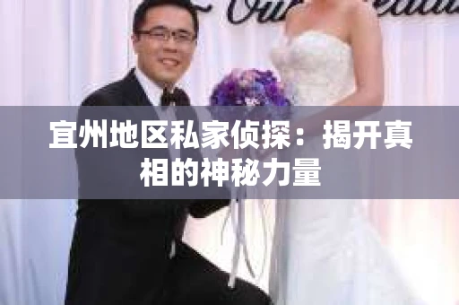 宜州地区私家侦探：揭开真相的神秘力量