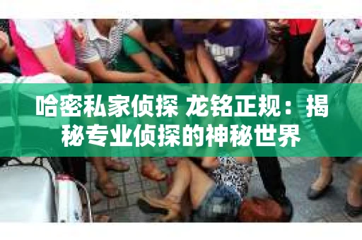 哈密私家侦探 龙铭正规：揭秘专业侦探的神秘世界