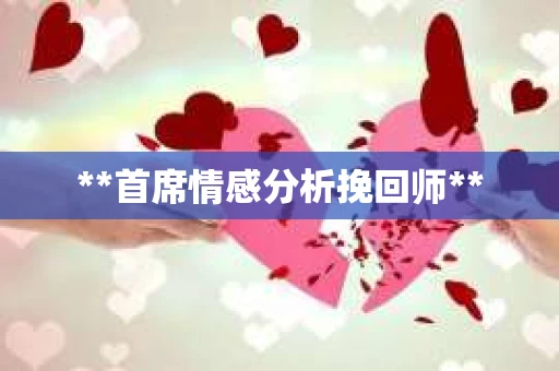**首席情感分析挽回师**