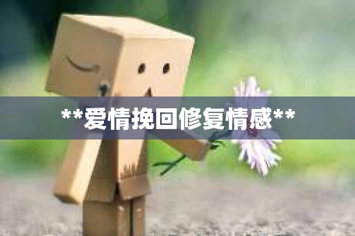 **爱情挽回修复情感**