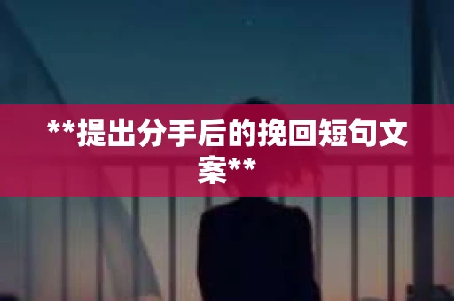 **提出分手后的挽回短句文案**